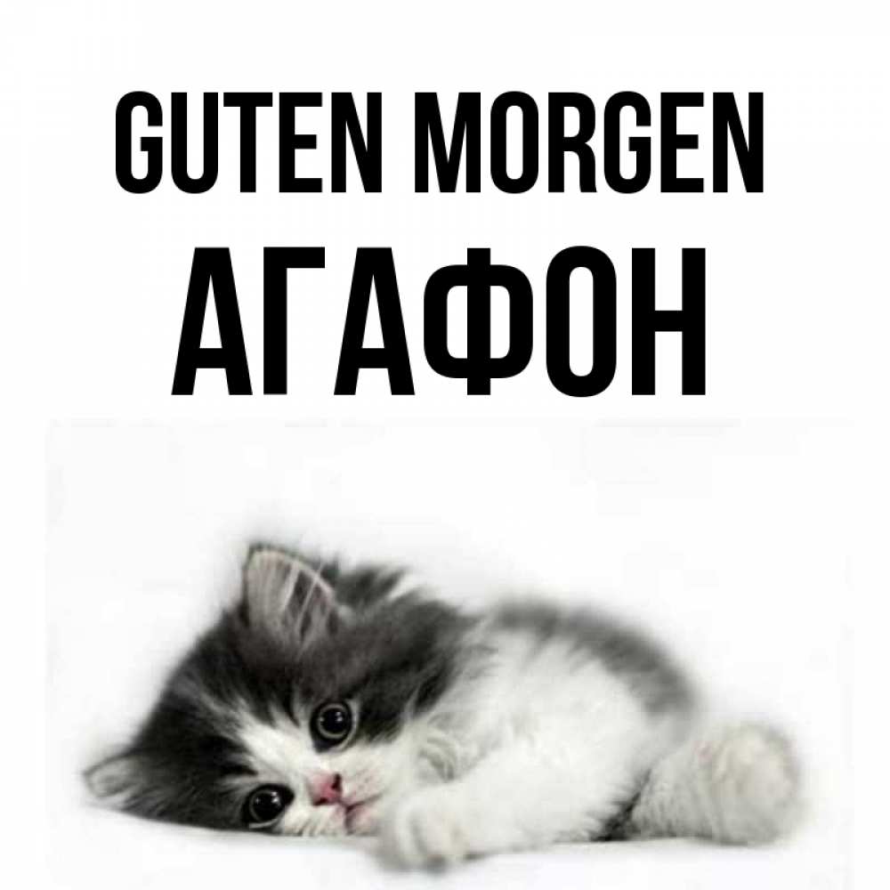 Открытка на каждый день с именем, Агафон Guten Morgen кот лапки Прикольная открытка с пожеланием онлайн скачать бесплатно 