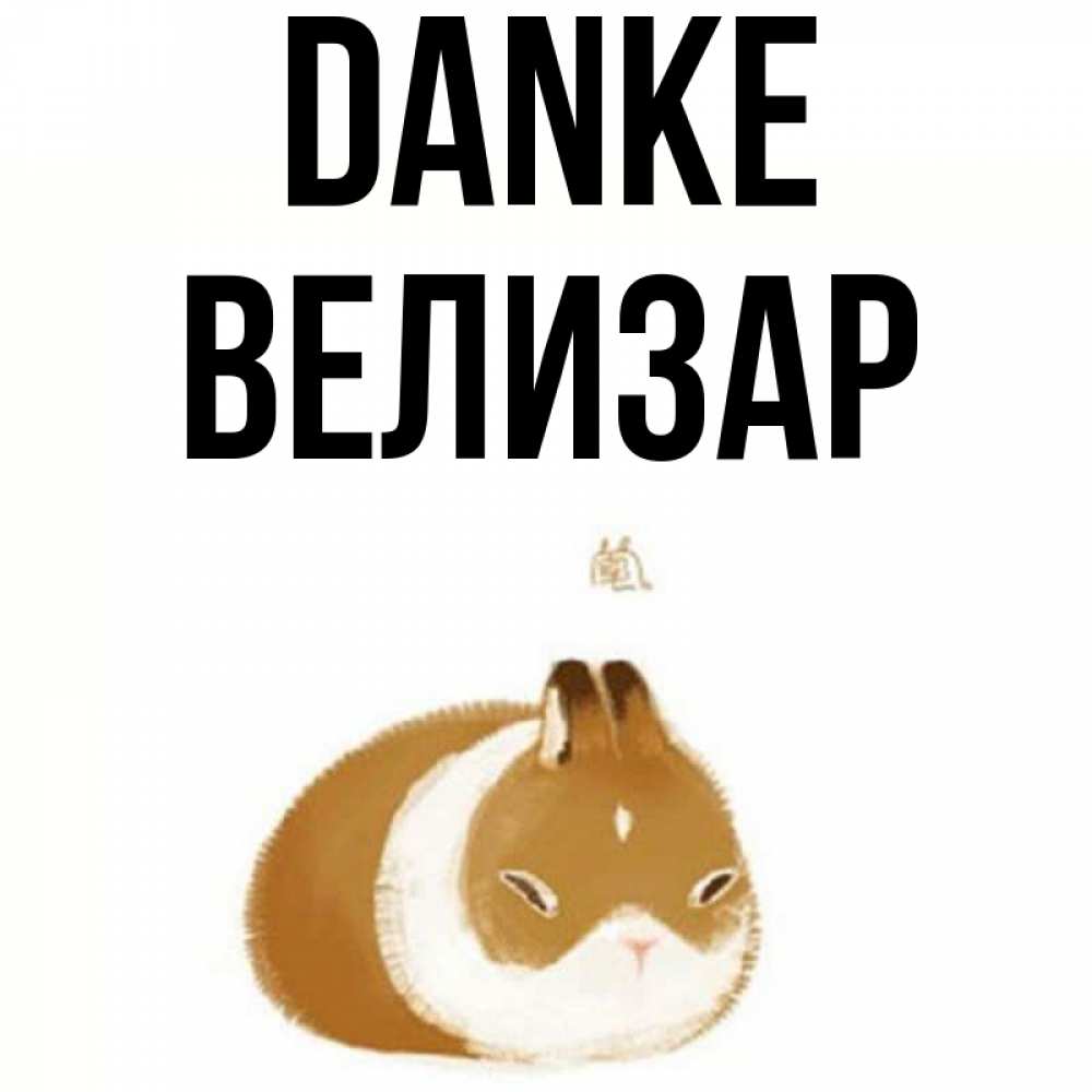 Открытка на каждый день с именем, Велизар Danke коричнево белый домашний питомец Прикольная открытка с пожеланием онлайн скачать бесплатно 