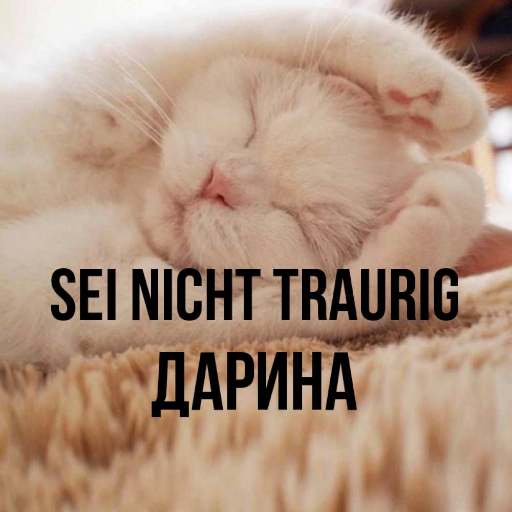 Открытка на каждый день с именем, Дарина Sei nicht traurig Котенок спит Прикольная открытка с пожеланием онлайн скачать бесплатно 