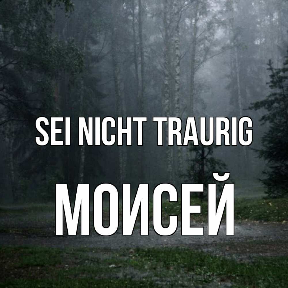 Открытка на каждый день с именем, Моисей Sei nicht traurig осень Прикольная открытка с пожеланием онлайн скачать бесплатно 