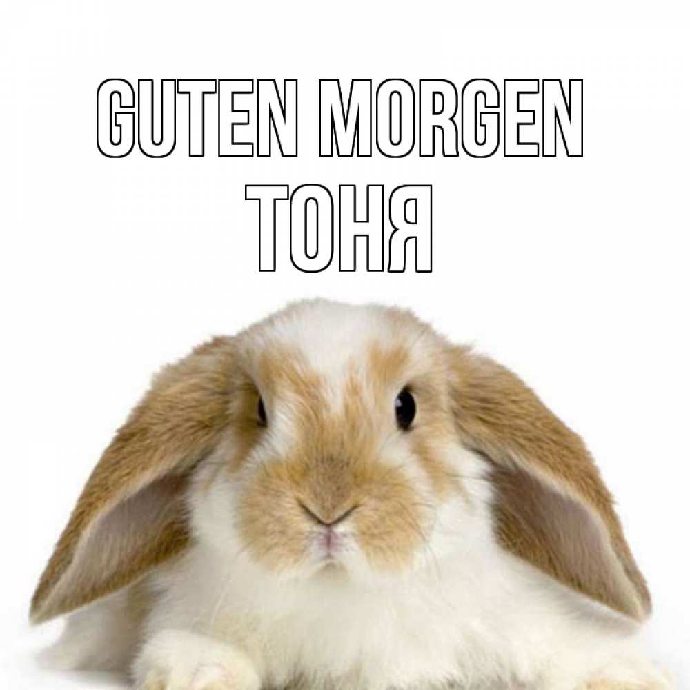 Открытка на каждый день с именем, Тоня Guten Morgen прикольные открытки на каждый день Прикольная открытка с пожеланием онлайн скачать бесплатно 