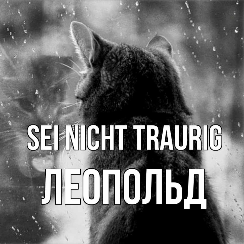 Открытка на каждый день с именем, Леопольд Sei nicht traurig отражение кота 1 Прикольная открытка с пожеланием онлайн скачать бесплатно 