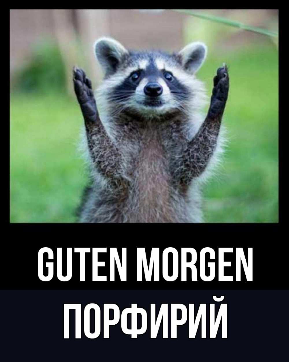 Открытка на каждый день с именем, Порфирий Guten Morgen хорошее настроение утречком Прикольная открытка с пожеланием онлайн скачать бесплатно 