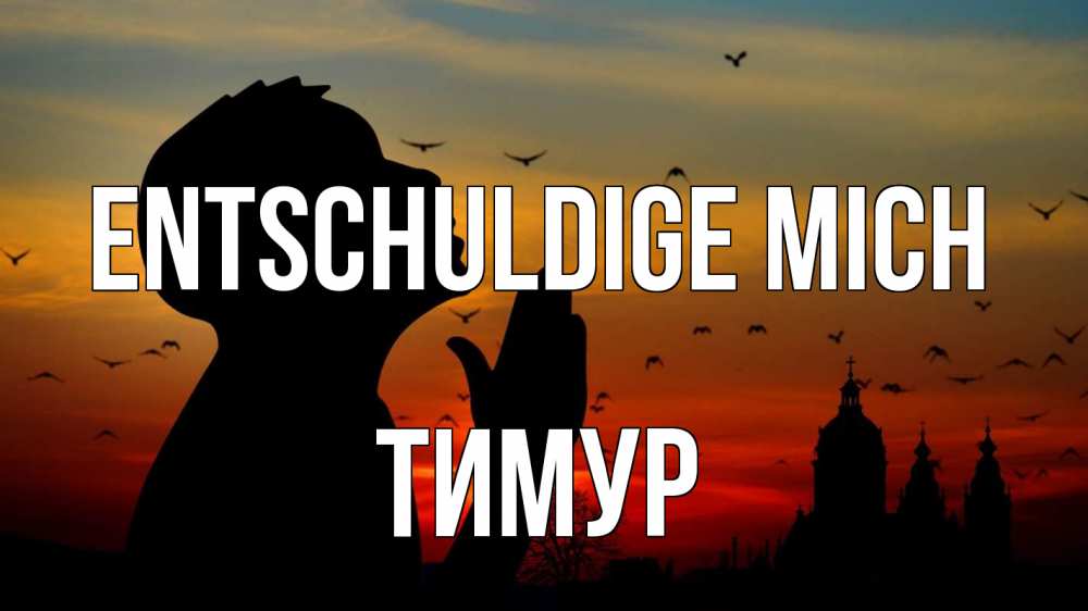 Открытка на каждый день с именем, Тимур Entschuldige mich прошу прощения Прикольная открытка с пожеланием онлайн скачать бесплатно 