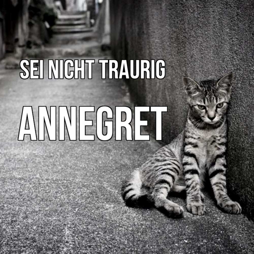 Открытка на каждый день с именем, Annegret Sei nicht traurig скучающий котик Прикольная открытка с пожеланием онлайн скачать бесплатно 