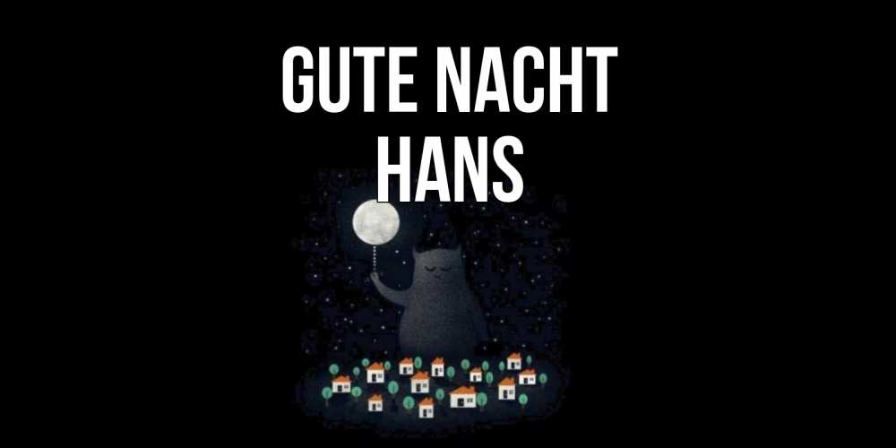 Открытка на каждый день с именем, Hans Gute Nacht кот,луна, ночь, звезды Прикольная открытка с пожеланием онлайн скачать бесплатно 