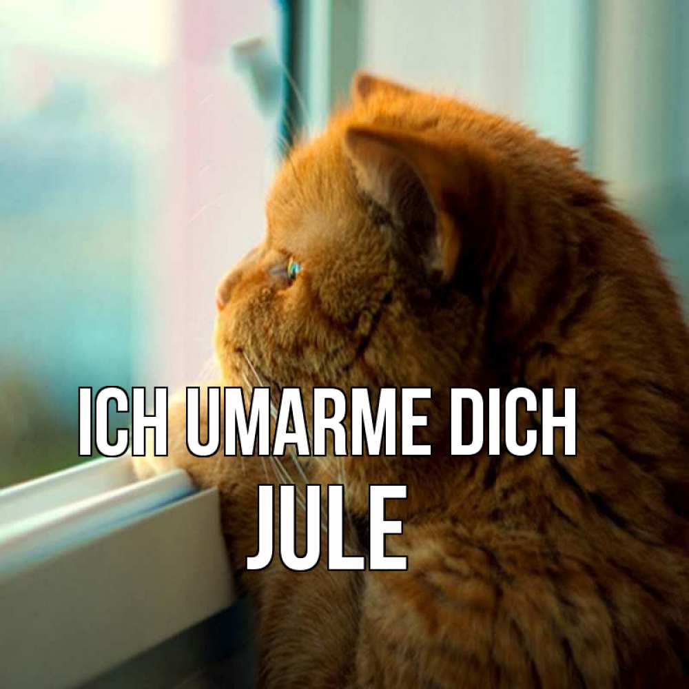Открытка на каждый день с именем, Jule Ich umarme dich большой огромный рыжий котяра Прикольная открытка с пожеланием онлайн скачать бесплатно 