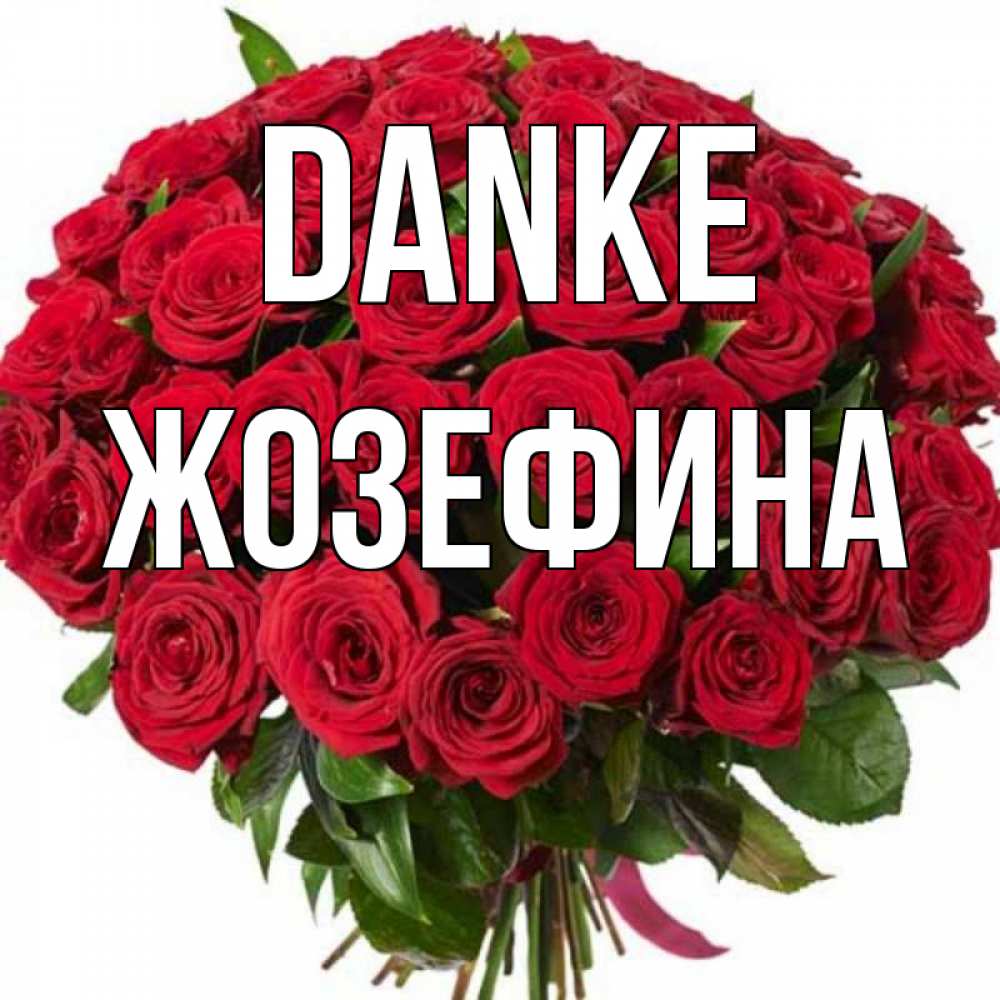 Открытка на каждый день с именем, Жозефина Danke букет красных роз Прикольная открытка с пожеланием онлайн скачать бесплатно 