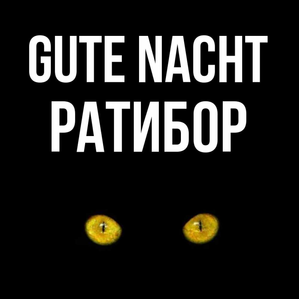 Открытка на каждый день с именем, Ратибор Gute Nacht сладких снов бесстрашный мой дружочек Прикольная открытка с пожеланием онлайн скачать бесплатно 