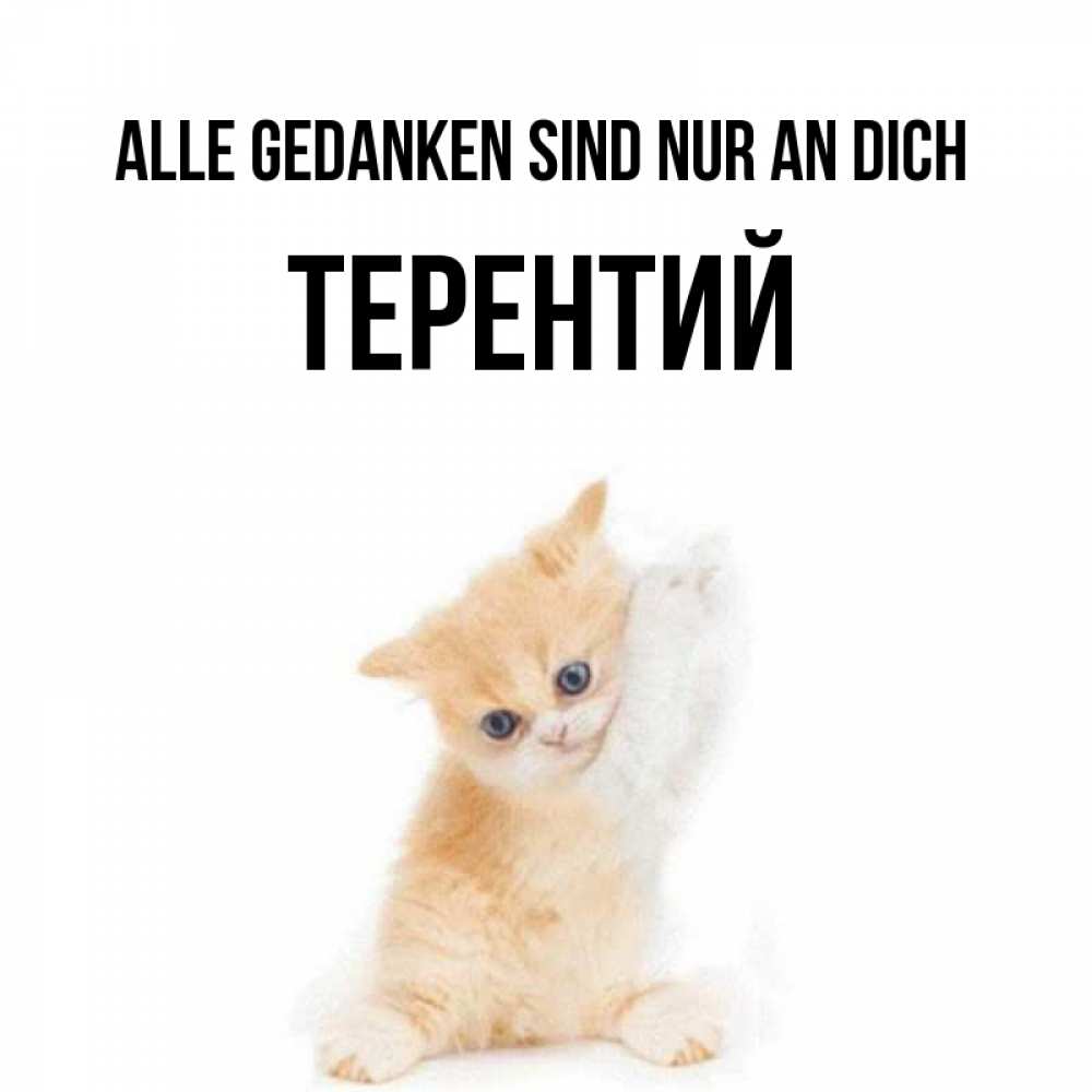 Открытка на каждый день с именем, Терентий Alle Gedanken sind nur an dich зверушки и милота Прикольная открытка с пожеланием онлайн скачать бесплатно 