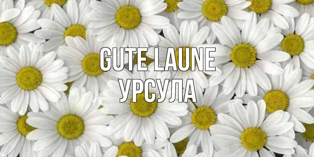 Открытка на каждый день с именем, Урсула Gute Laune поляна ромашек Прикольная открытка с пожеланием онлайн скачать бесплатно 