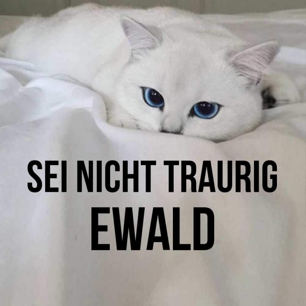 Открытка на каждый день с именем, Ewald Sei nicht traurig Голубоглазая кошка Прикольная открытка с пожеланием онлайн скачать бесплатно 