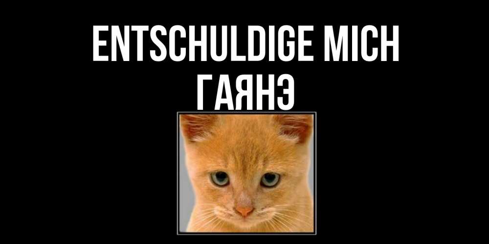 Открытка на каждый день с именем, Гаянэ Entschuldige mich рыжий грустный кот просит прощения Прикольная открытка с пожеланием онлайн скачать бесплатно 