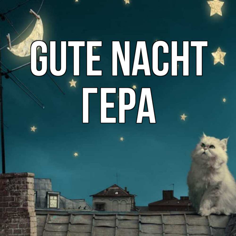 Открытка на каждый день с именем, Гера Gute Nacht белый кот сидит на крыше Прикольная открытка с пожеланием онлайн скачать бесплатно 