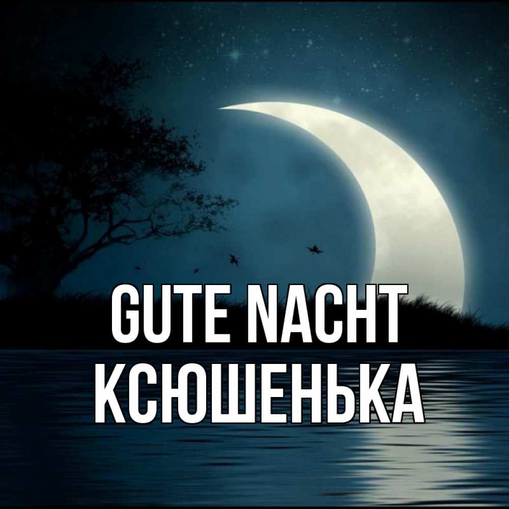 Открытка на каждый день с именем, Ксюшенька Gute Nacht вода Прикольная открытка с пожеланием онлайн скачать бесплатно 