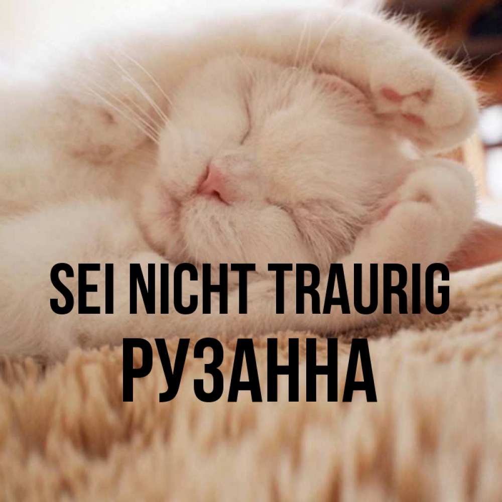Открытка на каждый день с именем, Рузанна Sei nicht traurig Котенок спит Прикольная открытка с пожеланием онлайн скачать бесплатно 
