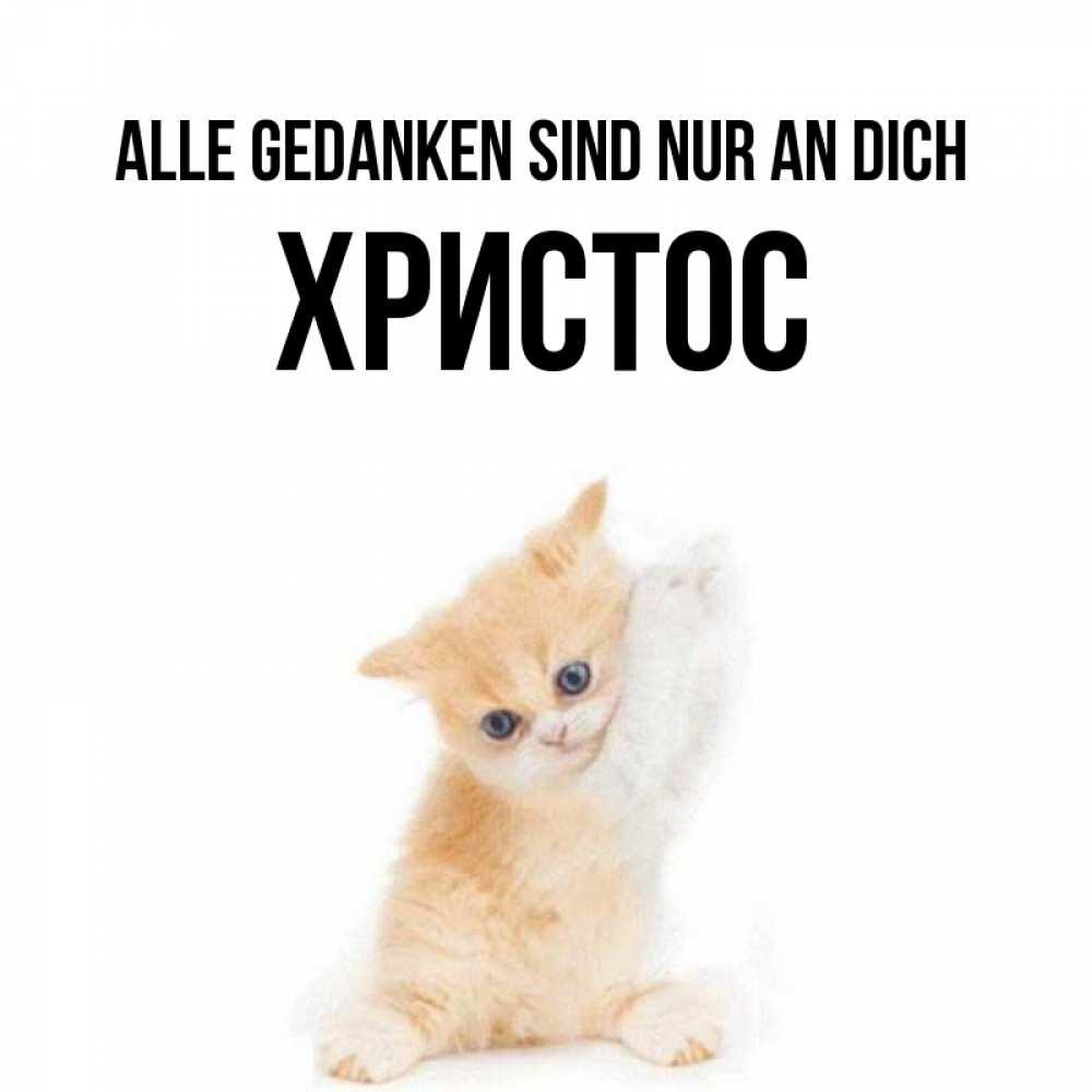 Открытка на каждый день с именем, Христос Alle Gedanken sind nur an dich зверушки и милота Прикольная открытка с пожеланием онлайн скачать бесплатно 