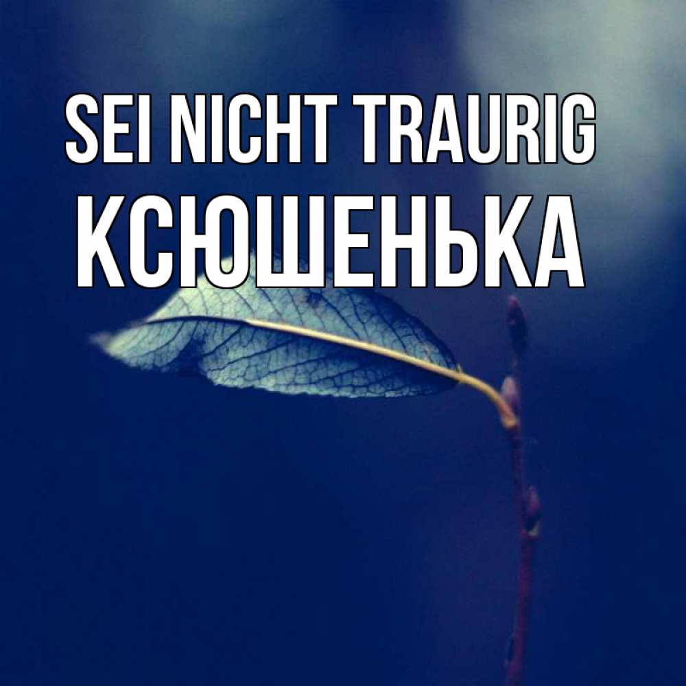 Открытка на каждый день с именем, Ксюшенька Sei nicht traurig растение Прикольная открытка с пожеланием онлайн скачать бесплатно 