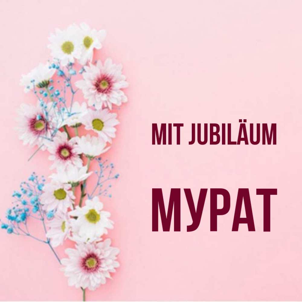 Открытка на каждый день с именем, Мурат Mit Jubiläum Родная моя с днем рождения тебя картинка с цветами белыми и голубыми Прикольная открытка с пожеланием онлайн скачать бесплатно 