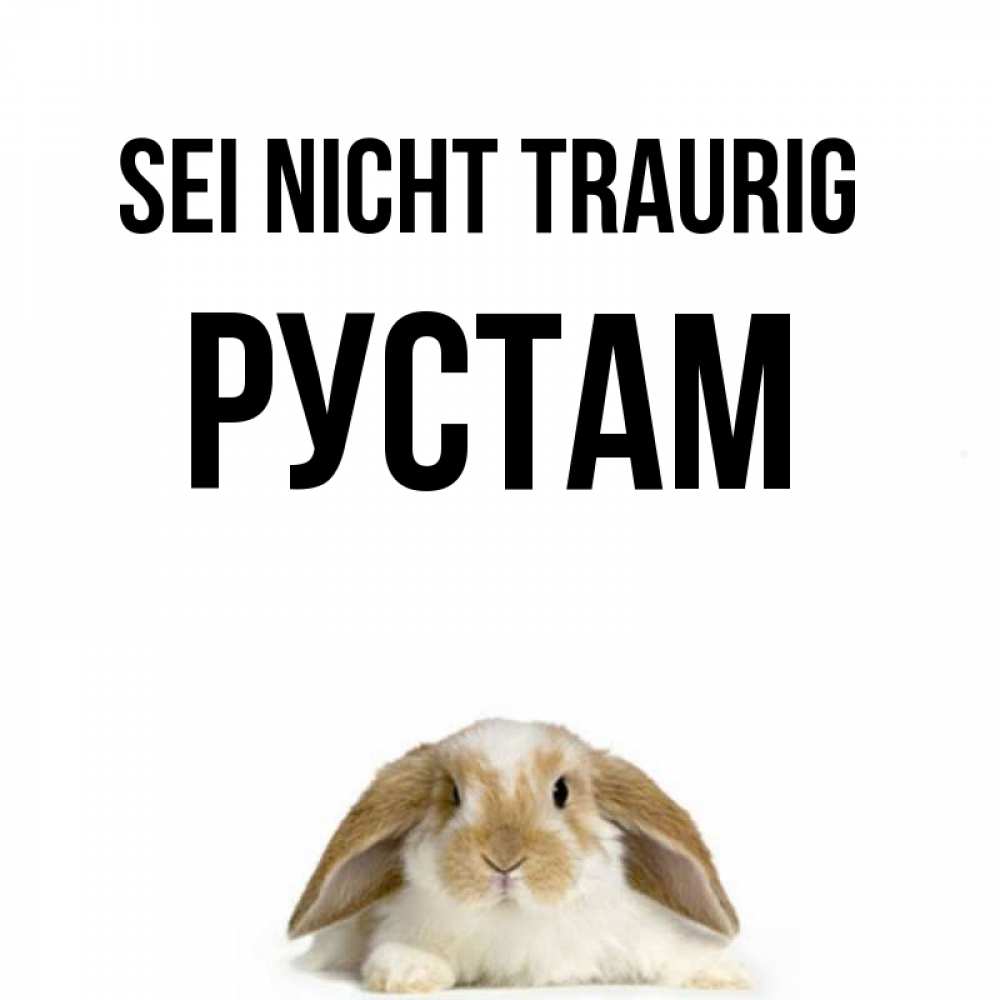 Открытка на каждый день с именем, Рустам Sei nicht traurig коричнево белый заяц с большими ушками Прикольная открытка с пожеланием онлайн скачать бесплатно 