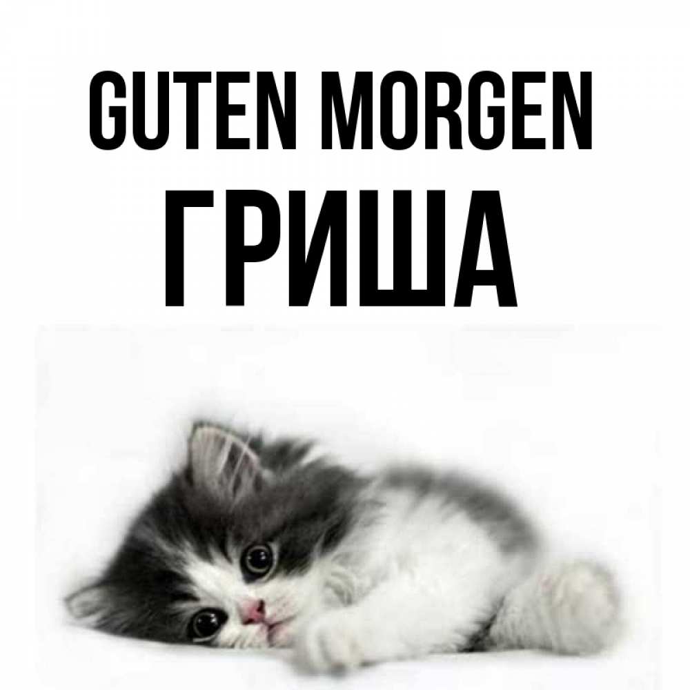 Открытка на каждый день с именем, Гриша Guten Morgen кот лапки Прикольная открытка с пожеланием онлайн скачать бесплатно 