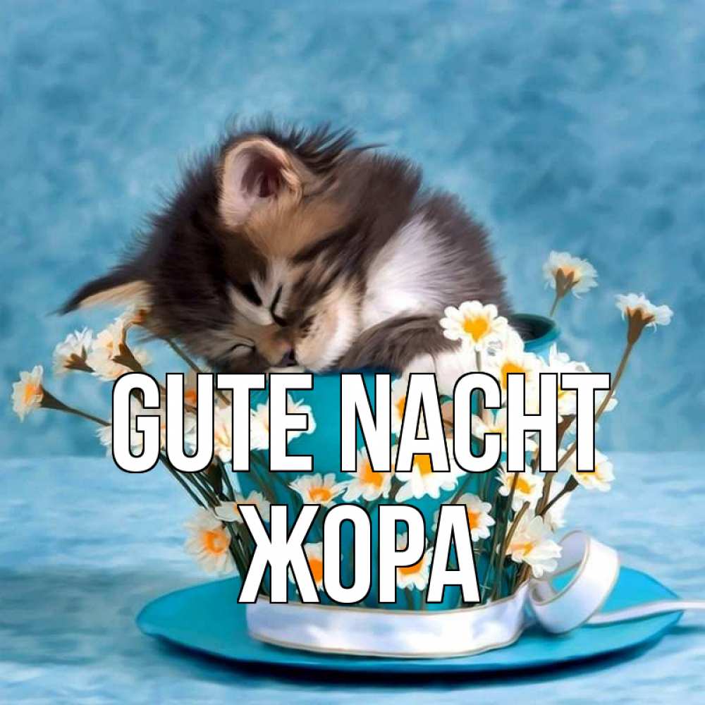 Открытка на каждый день с именем, Жора Gute Nacht котенок спит в кружке с блюдцем Прикольная открытка с пожеланием онлайн скачать бесплатно 