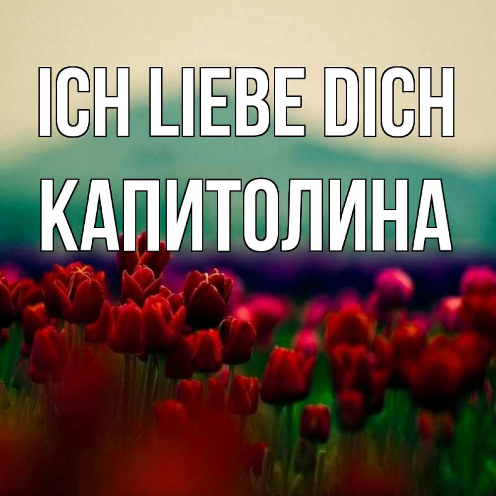 Открытка на каждый день с именем, Капитолина Ich liebe dich тюльпаны 4 Прикольная открытка с пожеланием онлайн скачать бесплатно 
