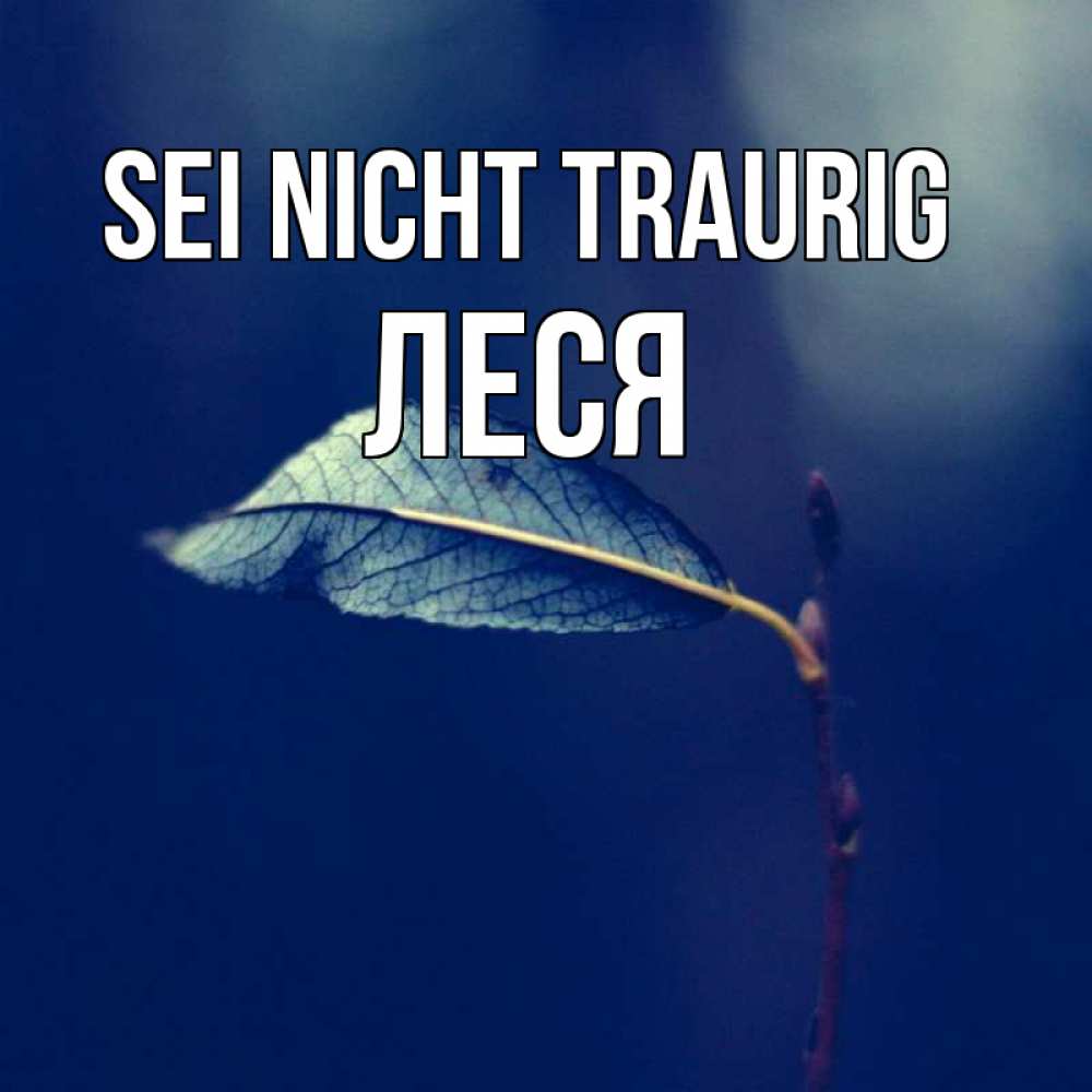 Открытка на каждый день с именем, Леся Sei nicht traurig растение Прикольная открытка с пожеланием онлайн скачать бесплатно 