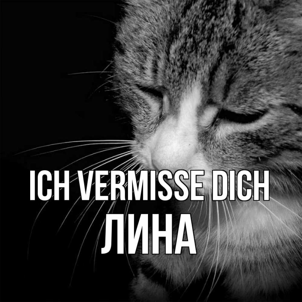 Открытка на каждый день с именем, Лина Ich vermisse dich мне скучно Прикольная открытка с пожеланием онлайн скачать бесплатно 