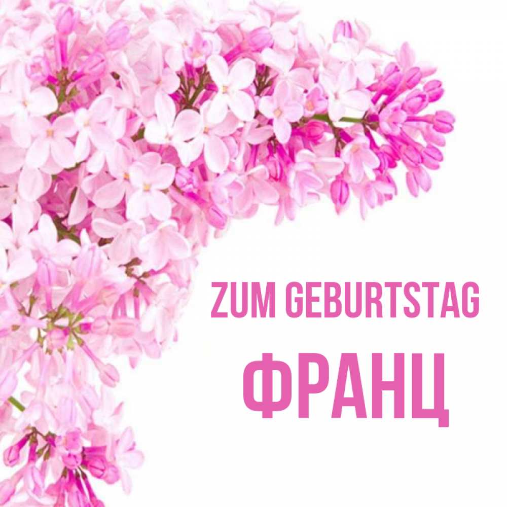 Открытка на каждый день с именем, Франц Zum Geburtstag Сирень на белом фоне Прикольная открытка с пожеланием онлайн скачать бесплатно 