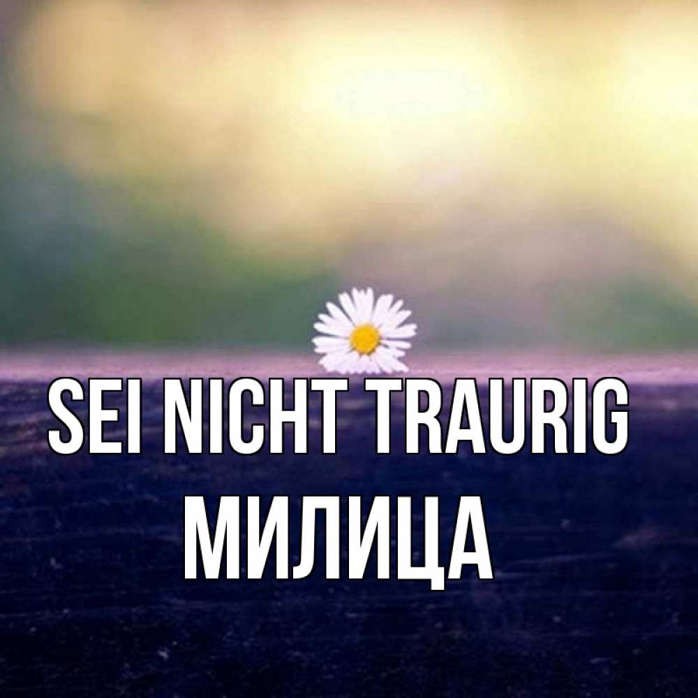Открытка на каждый день с именем, Милица Sei nicht traurig красота Прикольная открытка с пожеланием онлайн скачать бесплатно 