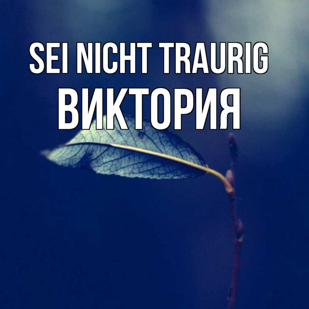 Открытка на каждый день с именем, Виктория Sei nicht traurig растение Прикольная открытка с пожеланием онлайн скачать бесплатно 