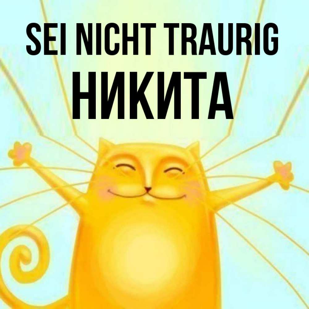 Открытка на каждый день с именем, Никита Sei nicht traurig обнимашки усатые Прикольная открытка с пожеланием онлайн скачать бесплатно 