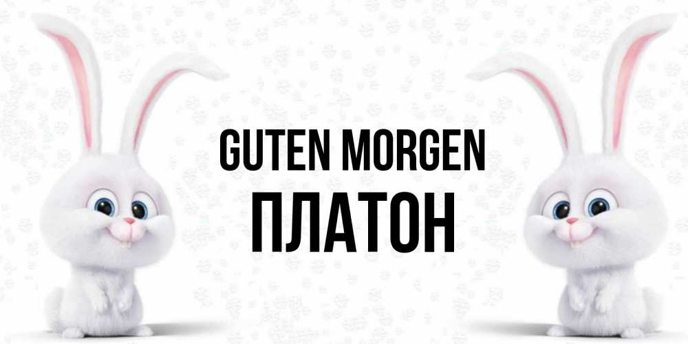 Открытка на каждый день с именем, Платон Guten Morgen кролики с длинными ушками Прикольная открытка с пожеланием онлайн скачать бесплатно 