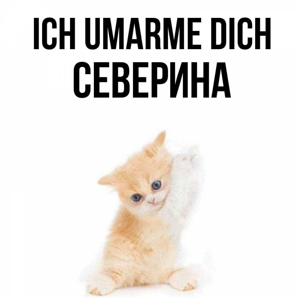 Открытка на каждый день с именем, Северина Ich umarme dich я хочу очень скорее обнимаешек Прикольная открытка с пожеланием онлайн скачать бесплатно 