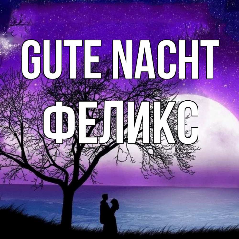 Открытка на каждый день с именем, Феликс Gute Nacht огромная луна и парочка Прикольная открытка с пожеланием онлайн скачать бесплатно 