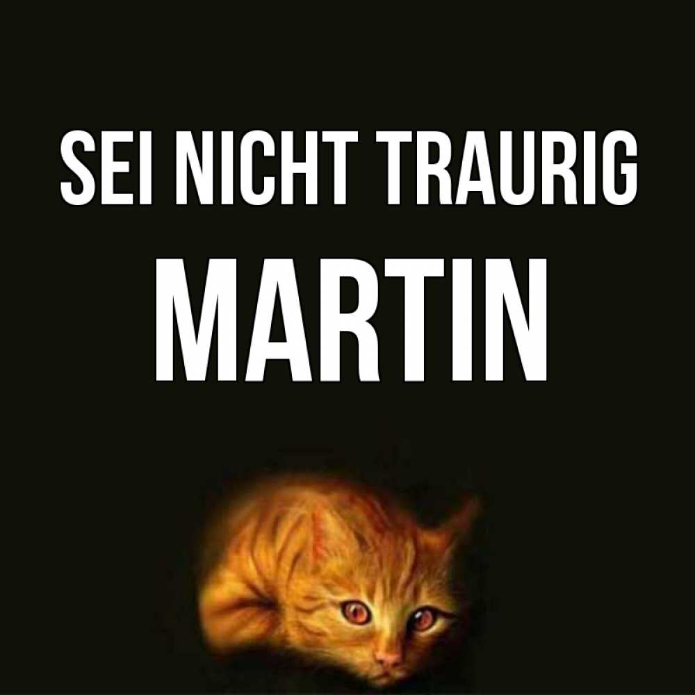 Открытка на каждый день с именем, Martin Sei nicht traurig лежащий кот в темноте Прикольная открытка с пожеланием онлайн скачать бесплатно 