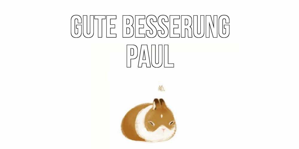 Открытка на каждый день с именем, Paul Gute Besserung морская свинка на открытке с пожеланиями не болеть Прикольная открытка с пожеланием онлайн скачать бесплатно 