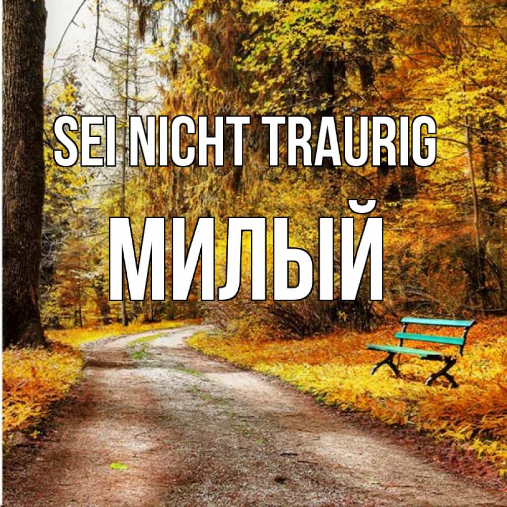 Открытка на каждый день с именем, Милый Sei nicht traurig зеленая лавочка Прикольная открытка с пожеланием онлайн скачать бесплатно 
