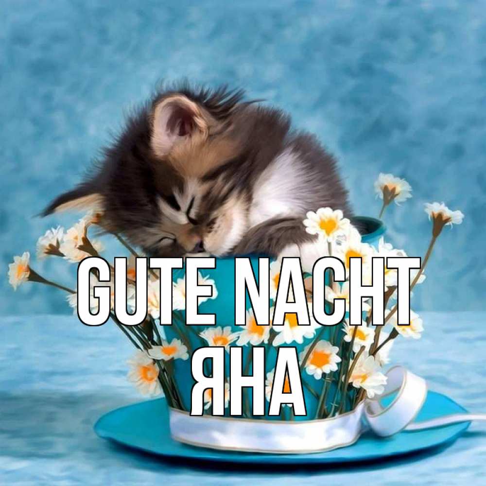 Открытка на каждый день с именем, Яна Gute Nacht котенок спит в кружке с блюдцем Прикольная открытка с пожеланием онлайн скачать бесплатно 