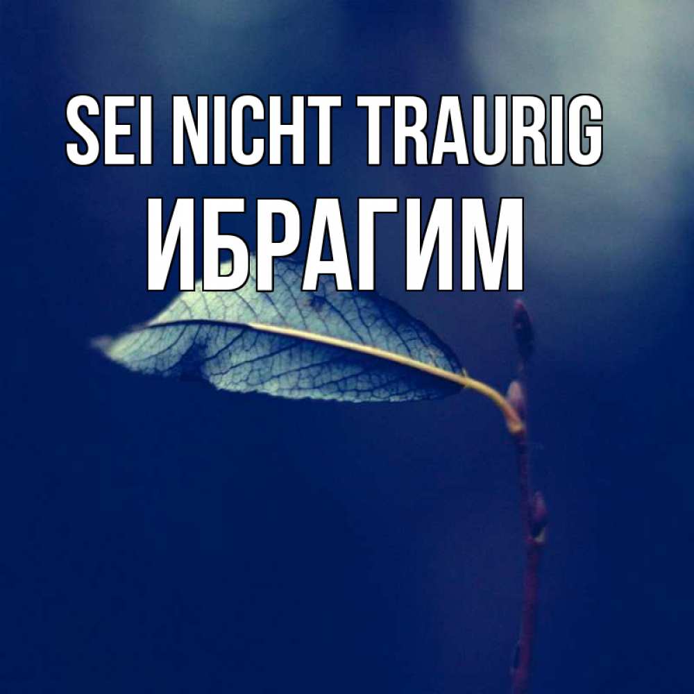Открытка на каждый день с именем, Ибрагим Sei nicht traurig растение Прикольная открытка с пожеланием онлайн скачать бесплатно 