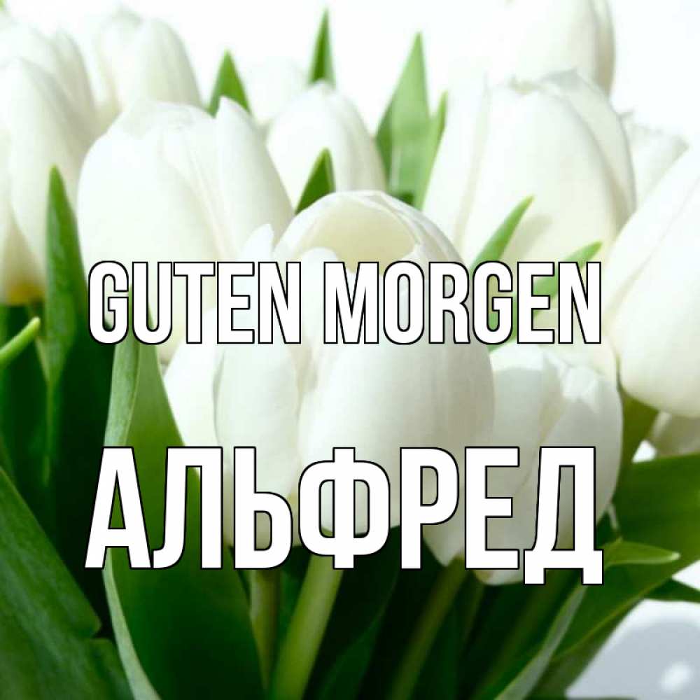 Открытка на каждый день с именем, Альфред Guten Morgen открытки на каждый день по именам Прикольная открытка с пожеланием онлайн скачать бесплатно 