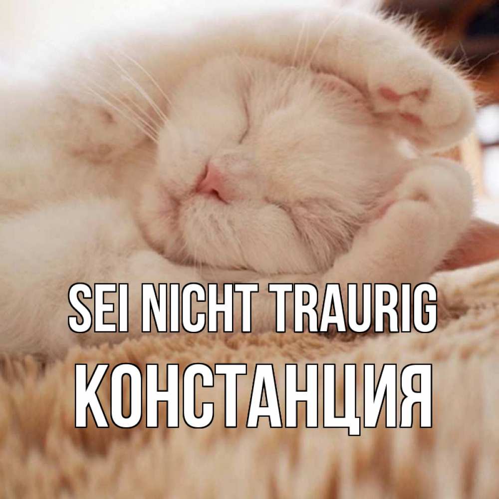 Открытка на каждый день с именем, Констанция Sei nicht traurig белый кот Прикольная открытка с пожеланием онлайн скачать бесплатно 