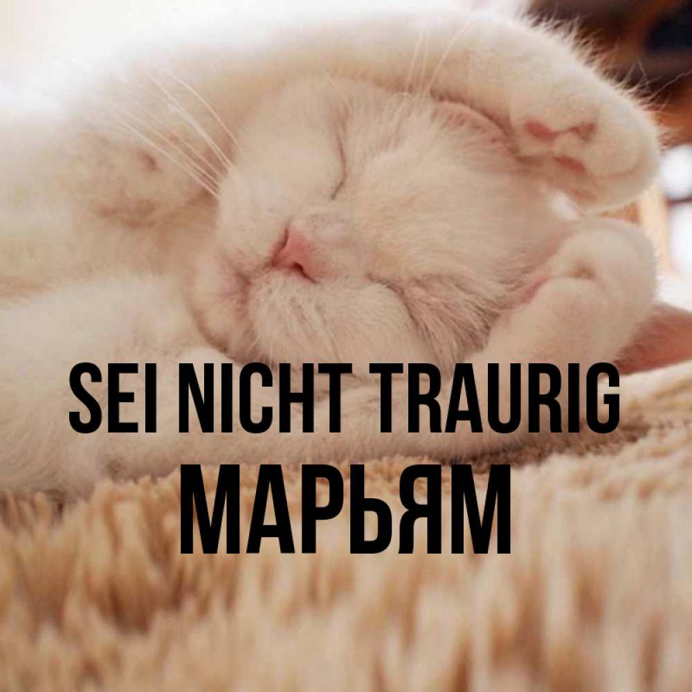 Открытка на каждый день с именем, Марьям Sei nicht traurig Котенок спит Прикольная открытка с пожеланием онлайн скачать бесплатно 