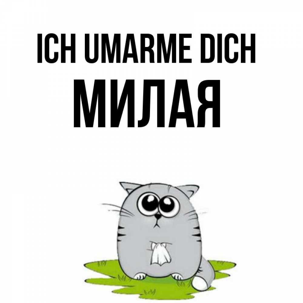 Открытка на каждый день с именем, Милая Ich umarme dich котик теребит платочек сидя на травке Прикольная открытка с пожеланием онлайн скачать бесплатно 