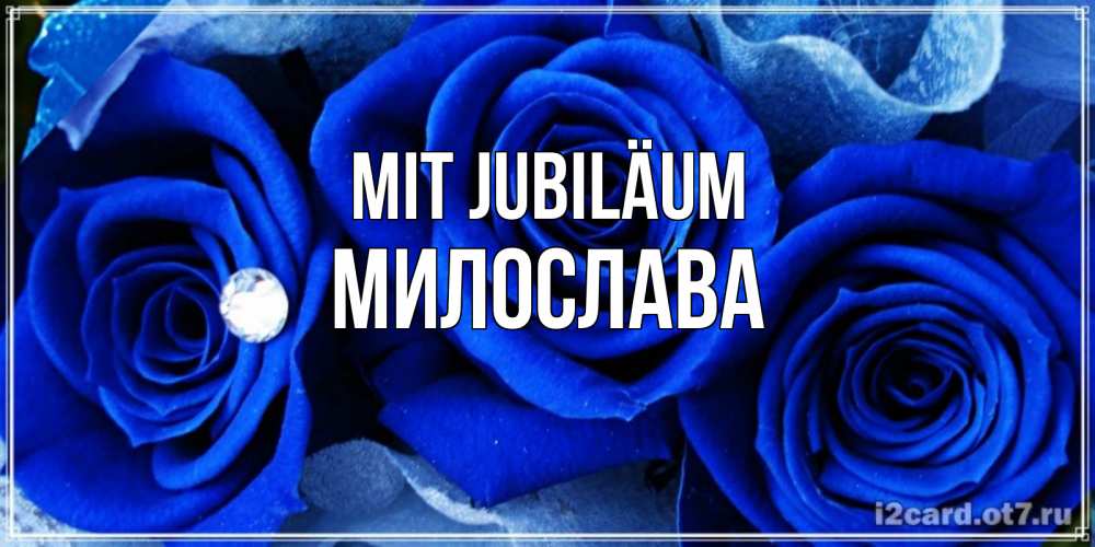 Открытка на каждый день с именем, Милослава Mit Jubiläum синие розы в росе Прикольная открытка с пожеланием онлайн скачать бесплатно 