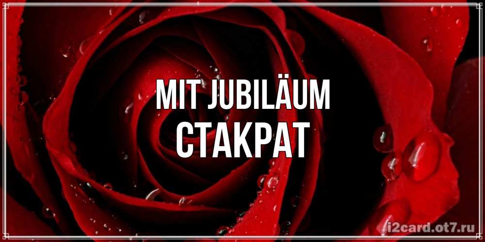 Открытка на каждый день с именем, Стакрат Mit Jubiläum крупная бордовая роза Прикольная открытка с пожеланием онлайн скачать бесплатно 