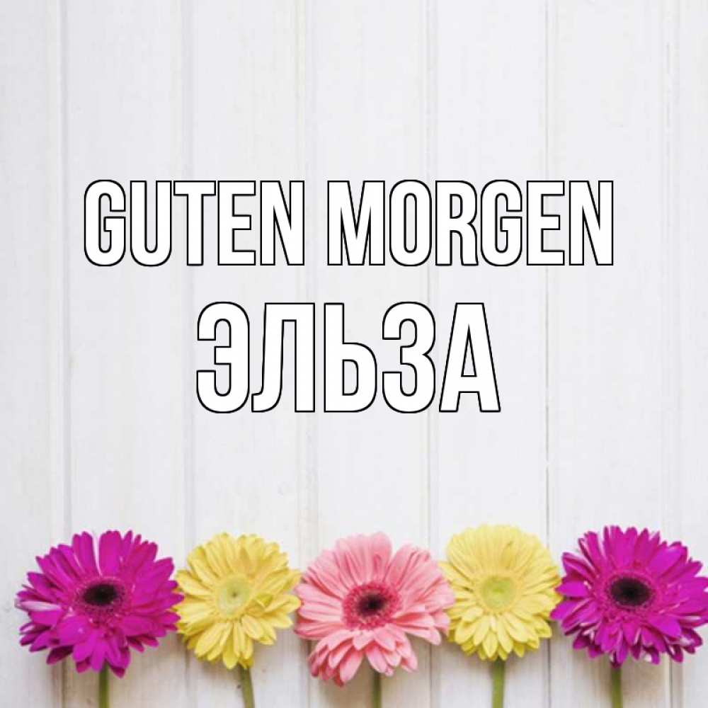 Открытка на каждый день с именем, Эльза Guten Morgen красный желтый и розовый цветок Прикольная открытка с пожеланием онлайн скачать бесплатно 