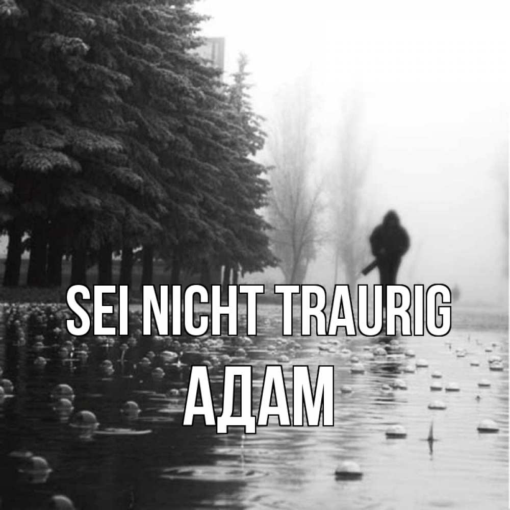 Открытка на каждый день с именем, Адам Sei nicht traurig улица под дождем Прикольная открытка с пожеланием онлайн скачать бесплатно 