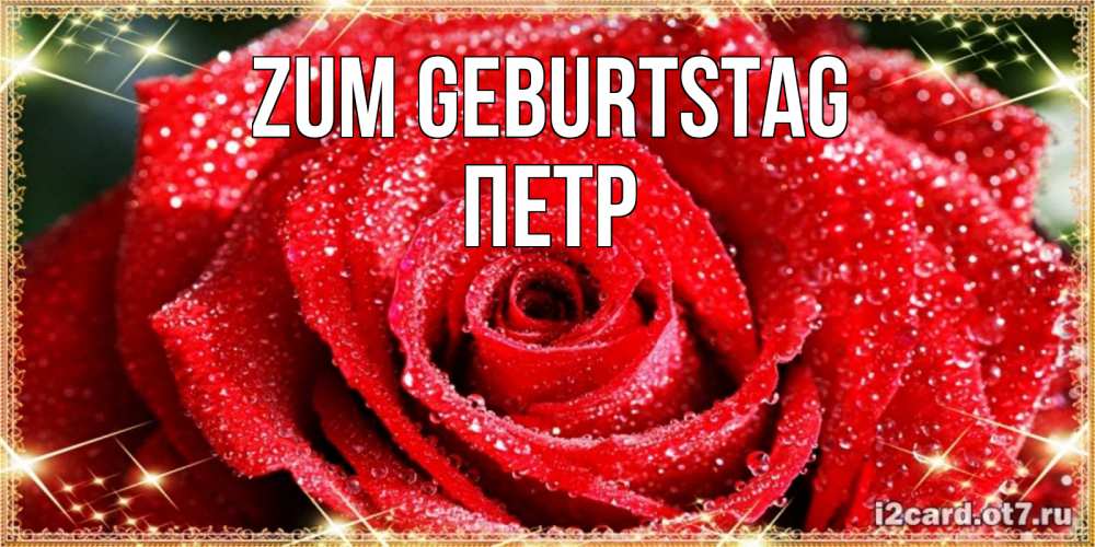 Открытка на каждый день с именем, Петр Zum Geburtstag роса и роза. открытка с красивой розой Прикольная открытка с пожеланием онлайн скачать бесплатно 